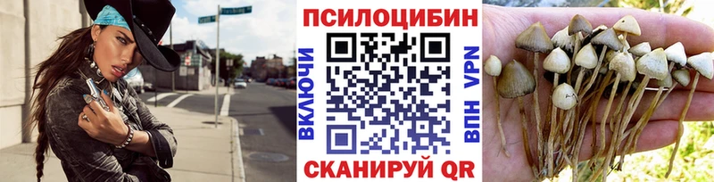 даркнет Telegram  блэк спрут сайт  Красноуральск  Галлюциногенные грибы GOLDEN TEACHER 
